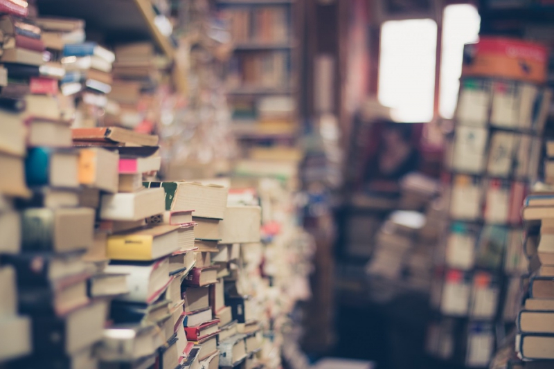 vente-ROURE-min_books_stack_book_store_stack_of_books_2nd_hand_retro_hipster_shop-829090